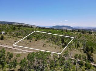 74 Forest Way, Fairplay, CO 80440