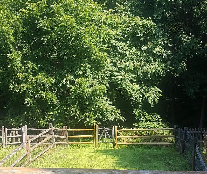 2nd image of 418 Ashton Ln