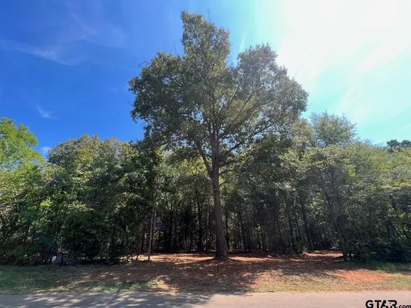 County Road 4119, Jacksonville, TX 75766