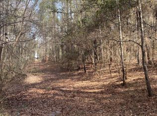 7253 Parkers Ferry Rd, Adams Run, SC 29426