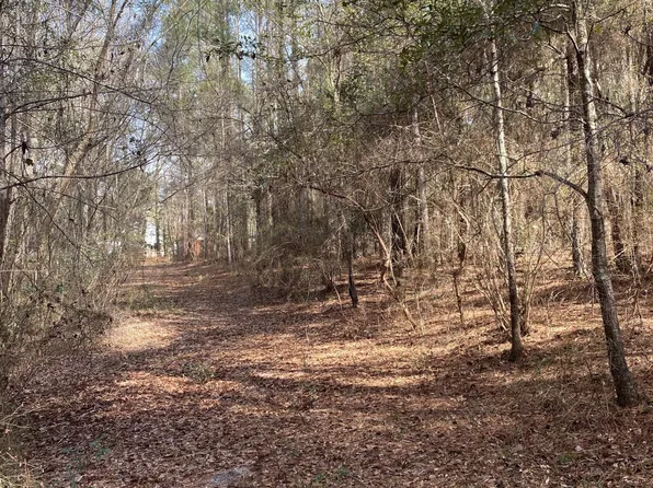 7253 Parkers Ferry Rd, Adams Run, SC 29426