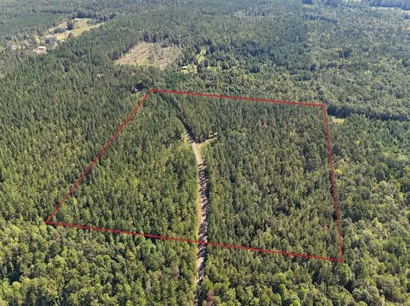 0 Hank Williams Rd, Mc Kenzie, AL 36456