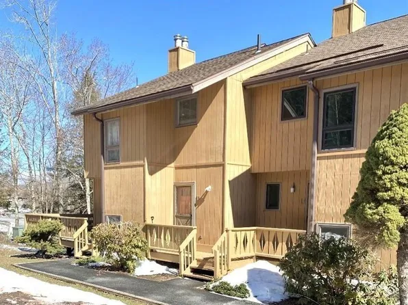 72 Hunter Drive #L-1, Hunter, NY 12442