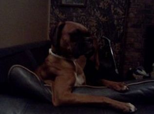 1018 Raven Hl, Magnolia, MS 39652