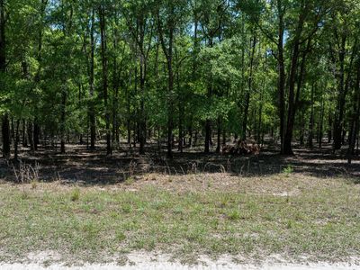 0 85th Path, O'Brien, FL, 32071