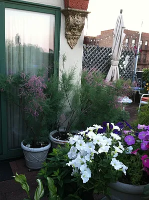 Sold by Dwell Residential Inc | media 19