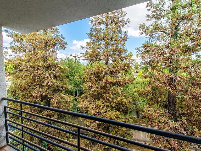818 N Monterey St #19 — Photo 9