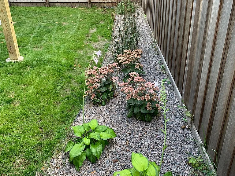 Landscaping