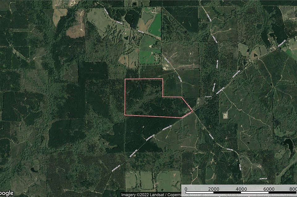 2nd image of 1465 Perkins Rd