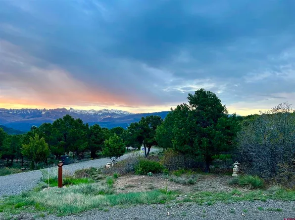 823 Pine Drive, Ridgway, CO 81432
