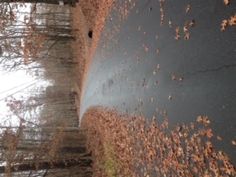 2nd image of 7191 Rocky Ln