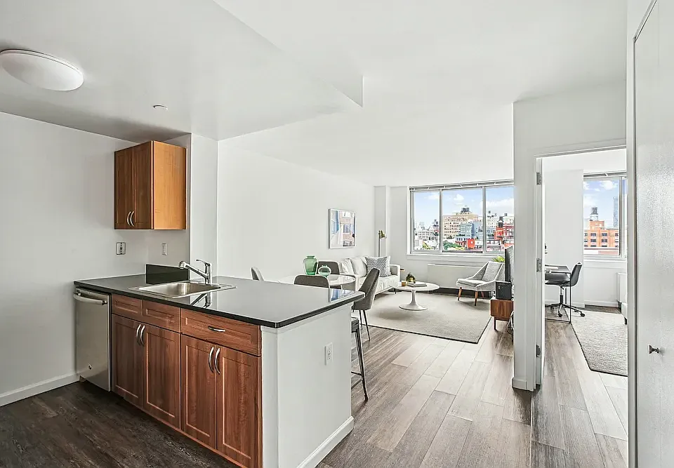 229 Chrystie St #613A