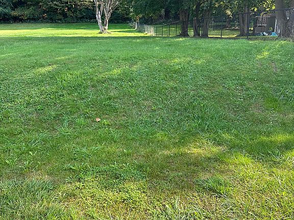 large back yard