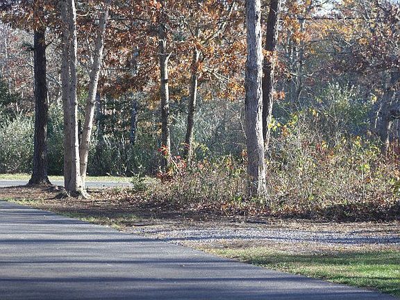 Nov 2009 Mid driveway to road