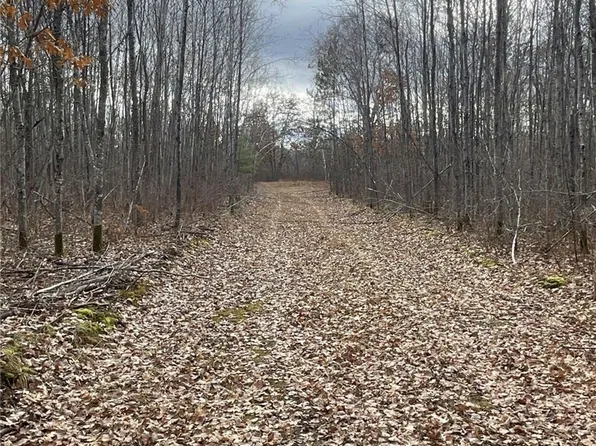 W2817 Airport Road, Springbrook, WI 54875
