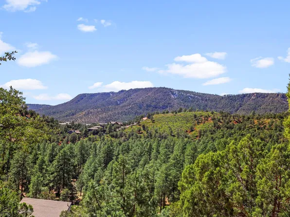 LOT 121 N Portal Dr, Pine, AZ 85544