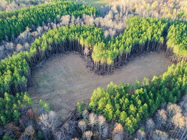 0 Hurricane Creek Rd, Linden, TN 37096