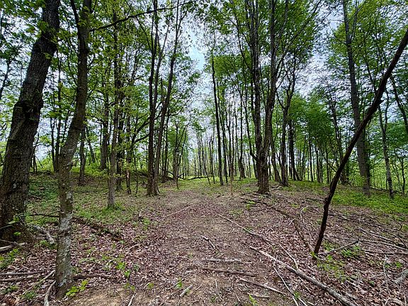 5th image of 566A Tunnel Ridge Rd