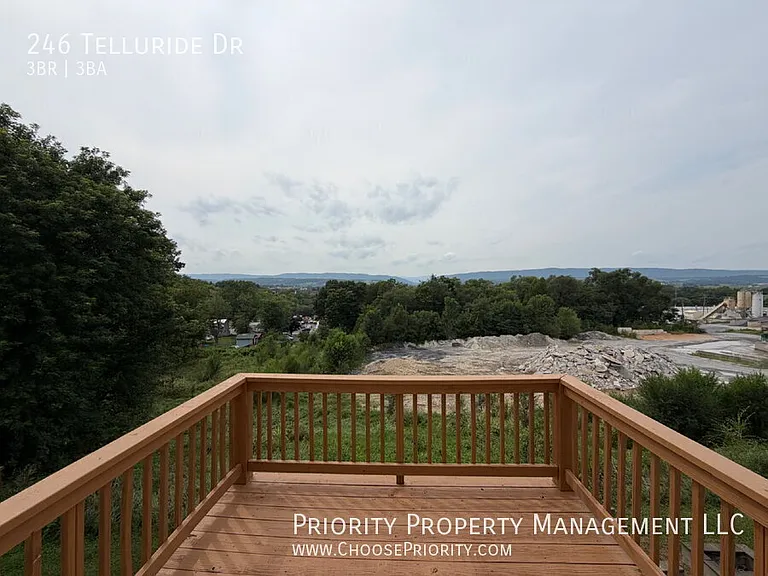 246 Telluride Dr — Photo 8