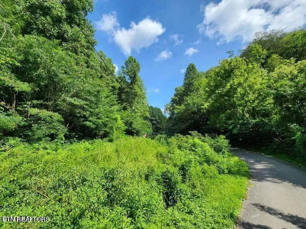 1344 Ogle Rd, Sevierville, TN 37876