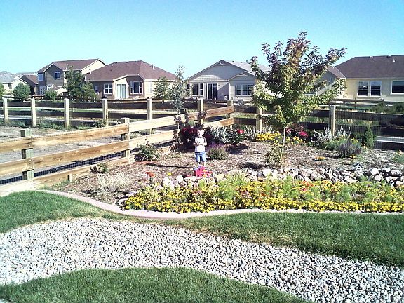 Back yard