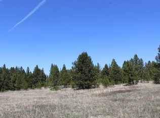 417 Bearlea Rd, Anatone, WA 99401