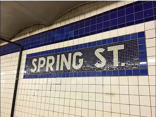 Rented by Douglas Elliman | media 4