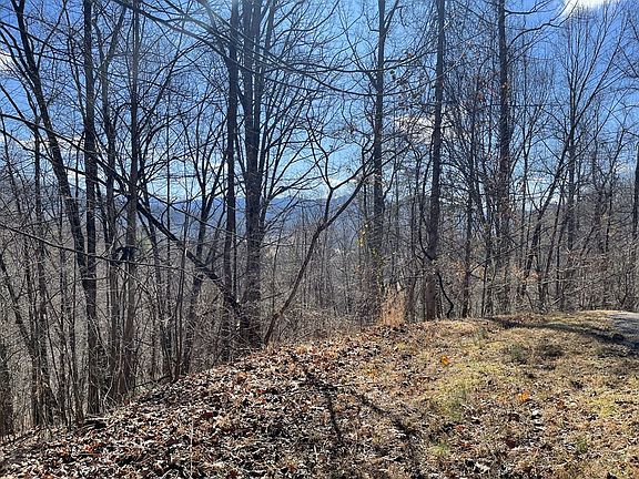 3rd image of LOT-37C Ash Branch Cir