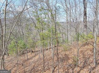 20&21 Mill Ridge Rd, Hiawassee, GA 30546