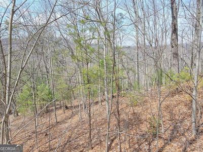 20&21 Mill Ridge Rd, Hiawassee, GA, 30546