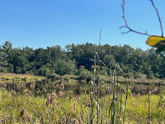 5th image of 0 Buck Rd Lot Wp001