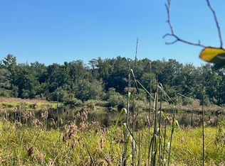 0 Buck Rd LOT WP001, Mitchell, GA 30820