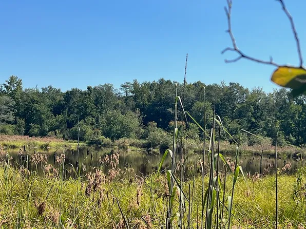 0 Buck Rd Lot Wp001, Mitchell, GA 30820