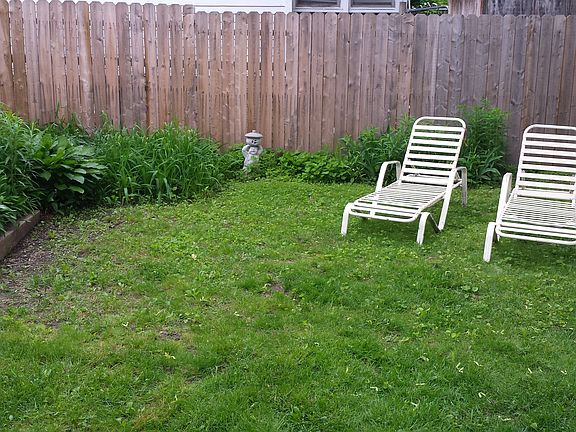 Back yard 17 Regent St.