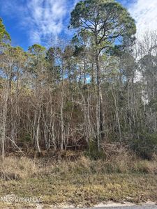 LOT 2221 Peach St Lot 2221, Ocean Springs, MS, 39564