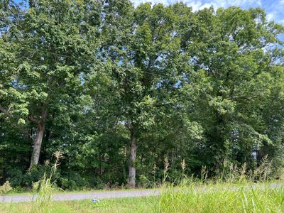 0 Moons Rd, Long Island, VA, 24569