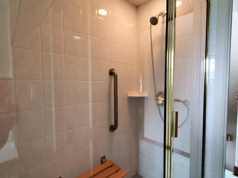 Walk in tiled shower