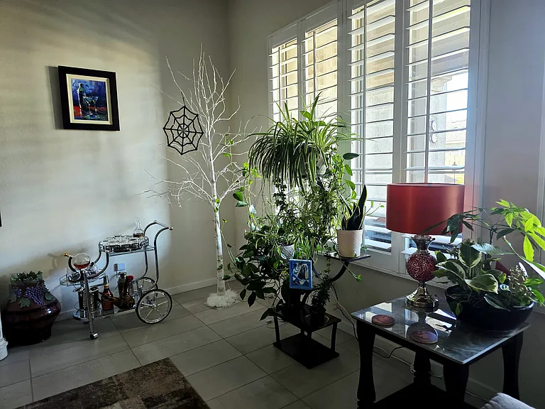 22536 E San Tan Blvd #C — Photo 17