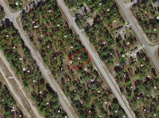 9356 N Pineview Way, Citrus Springs, FL 34434