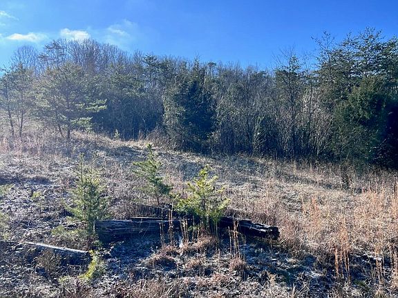 3rd image of 1581 Lower Caney Valley Rd