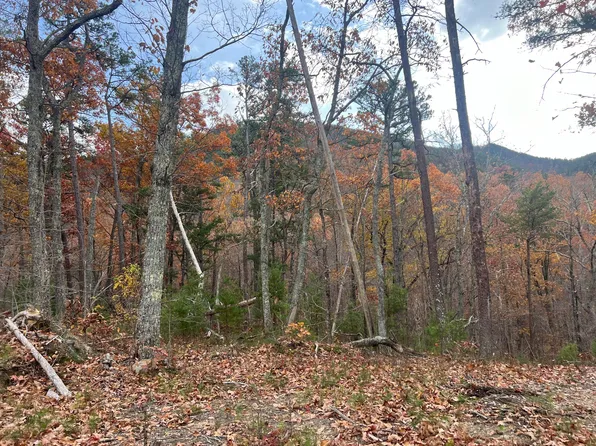 378TR E Rocky Top Rd, Newport, TN 37821