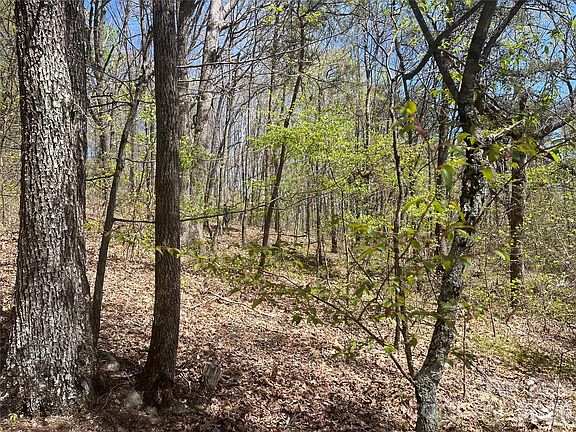 5th image of 0 Pilgrim Church Rd