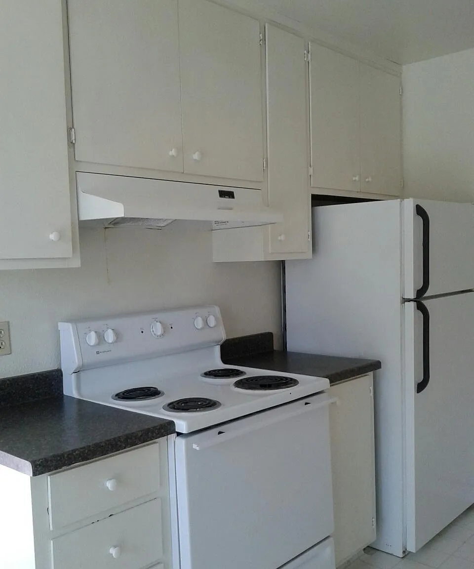 3 bed, 1100 sqft, $3,295 — Photo 4