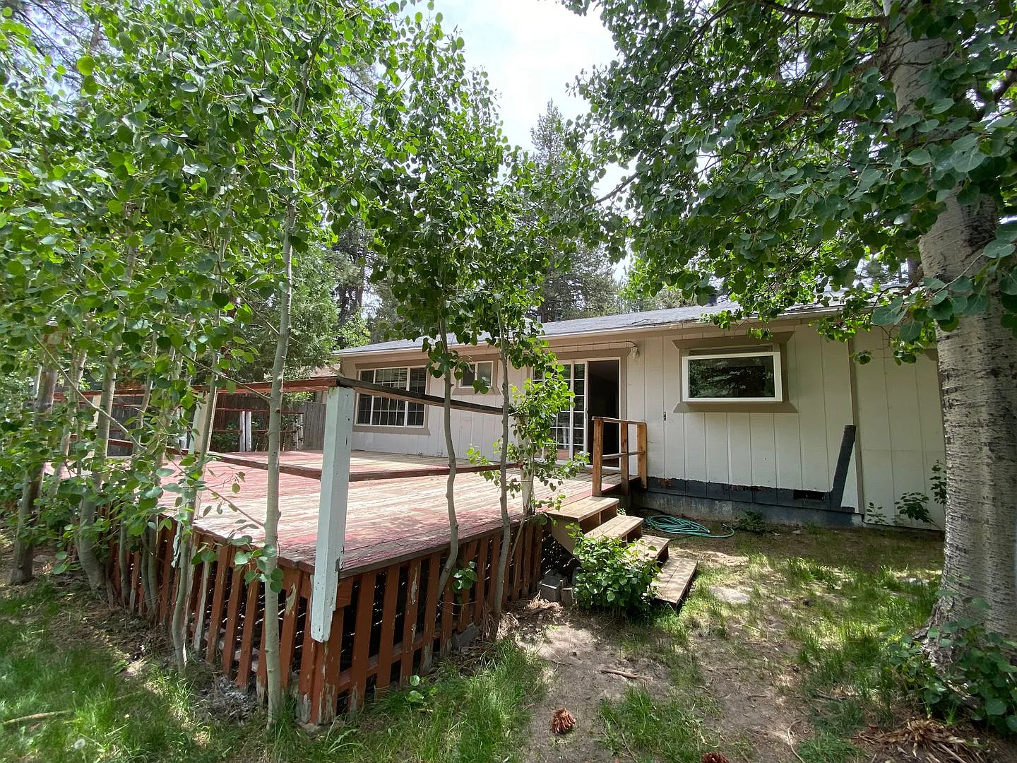 Bright Two Bedroom Home With a Large Backyard and Garage — Photo 4