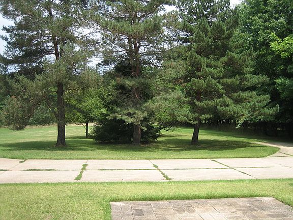 View of Yard from Back of Home 