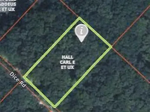 0 Dice Rd, Tionesta, PA 16353