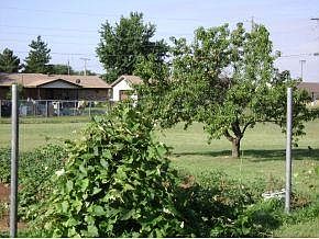4th image of 2400 E Locust Ln Lot 1