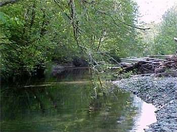 4th image of 1611 NE Tahuya River Dr