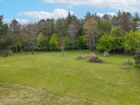 15131 S Jones Rd, Eagle, MI 48822