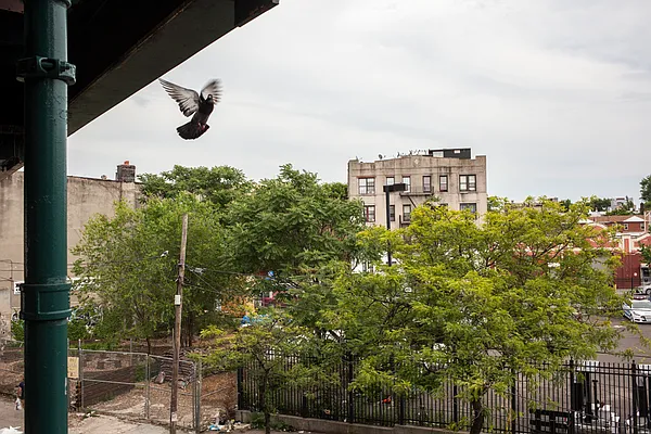 Rented by Garden Management | media 24